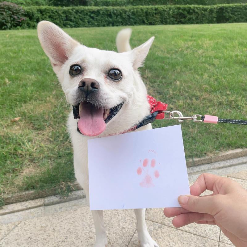 Pet Paw Print Ink Pad Kit, 2 Counts Pet Paw Print Ink Pads, Pet Memorials, Dog & Cat Accessories, Home Decor