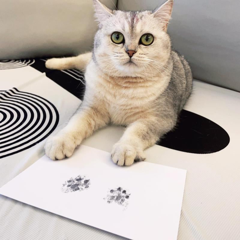 Pet Paw Print Ink Pad Kit, 2 Counts Pet Paw Print Ink Pads, Pet Memorials, Dog & Cat Accessories, Home Decor